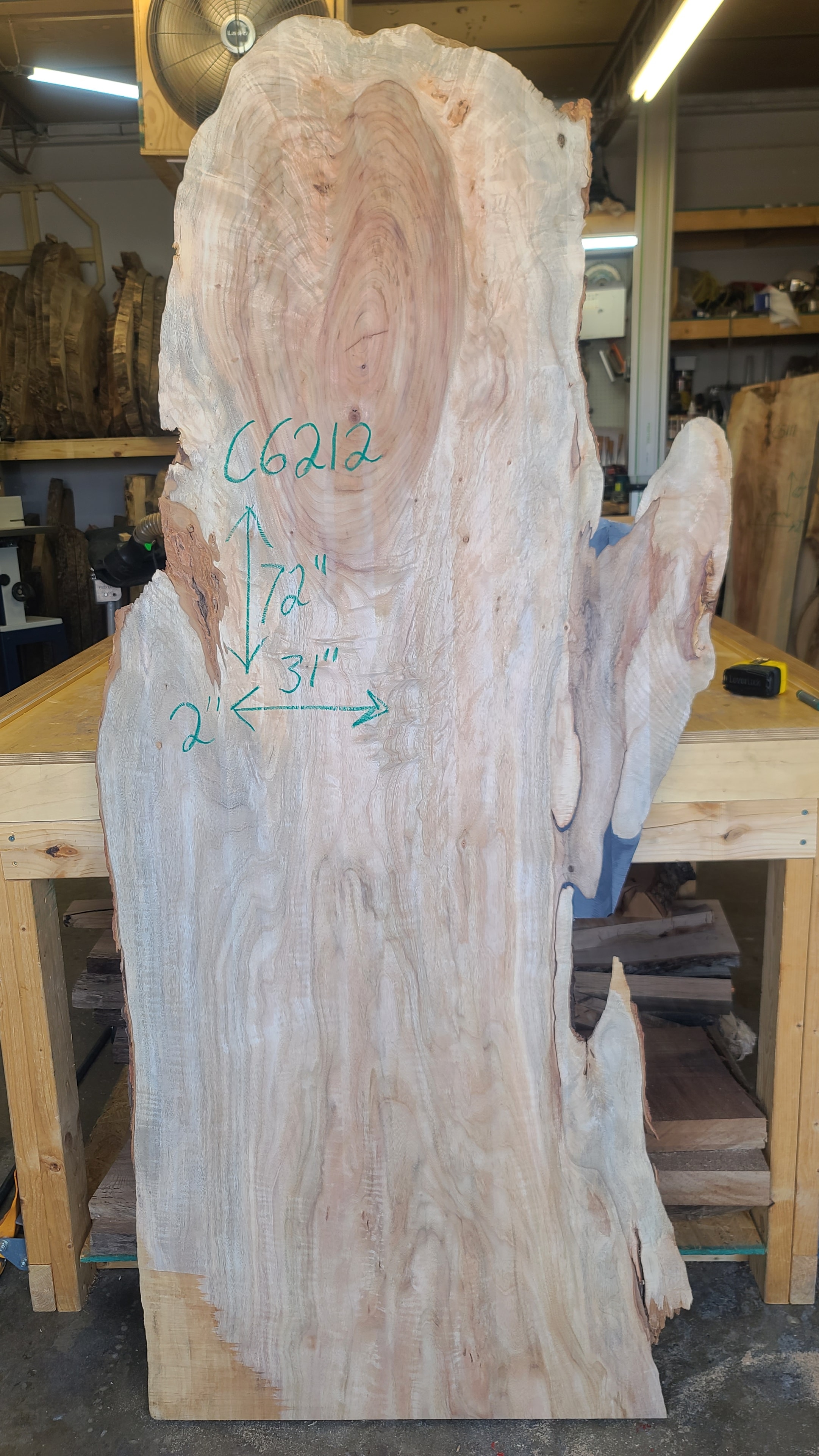 Camphor slab