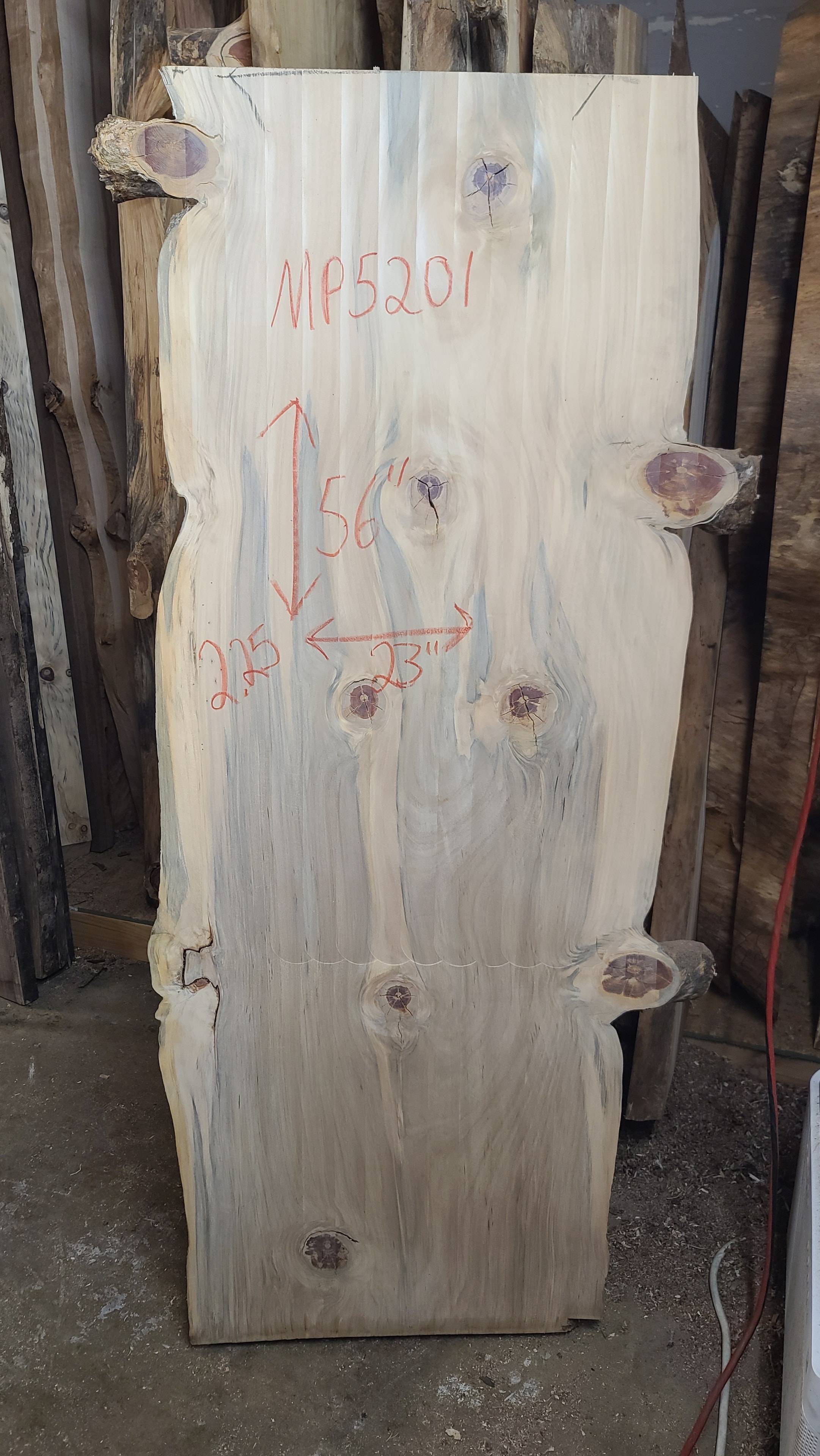 Monkey Puzzle slab