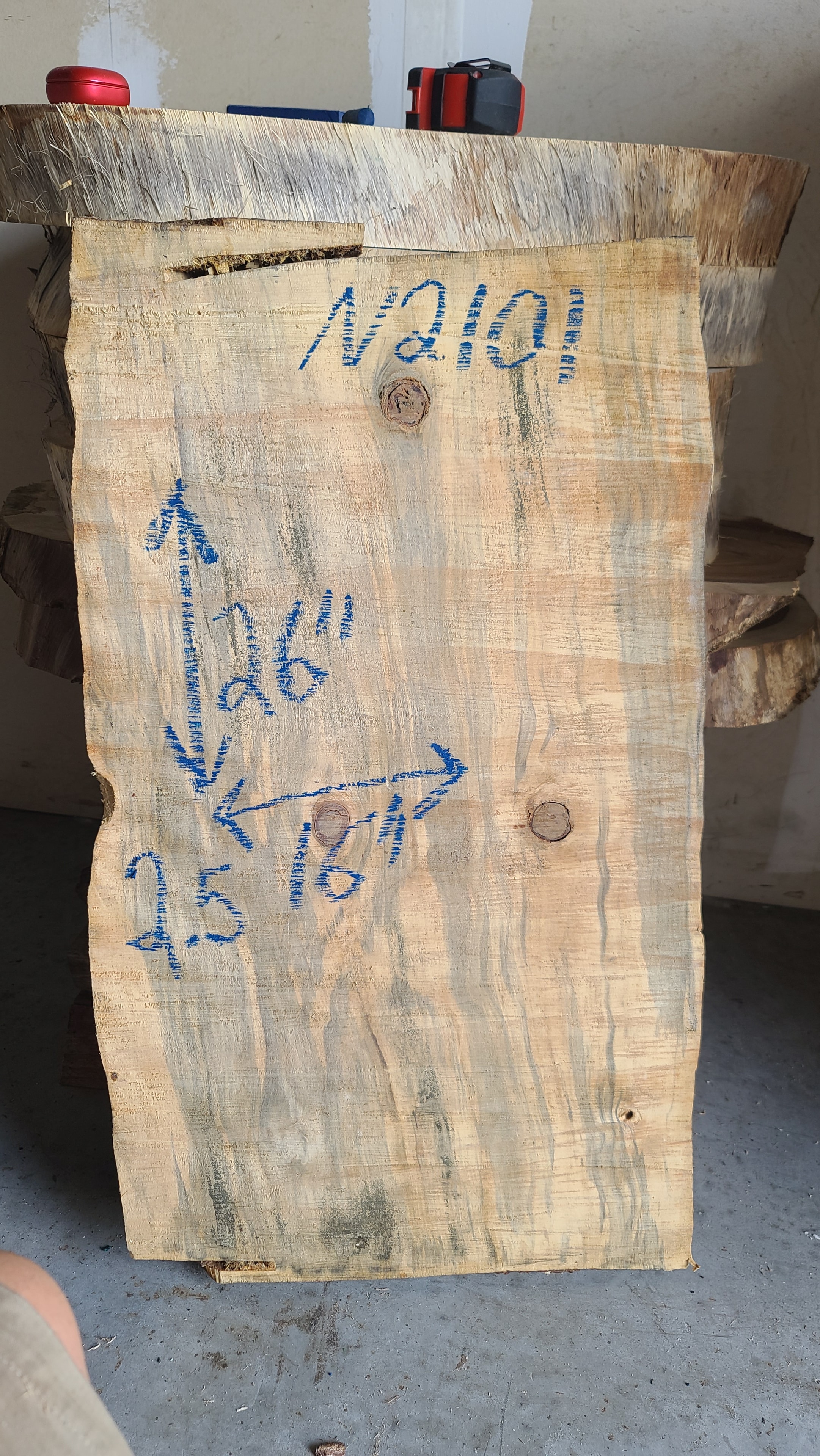 Norfolk Island Pine slab
