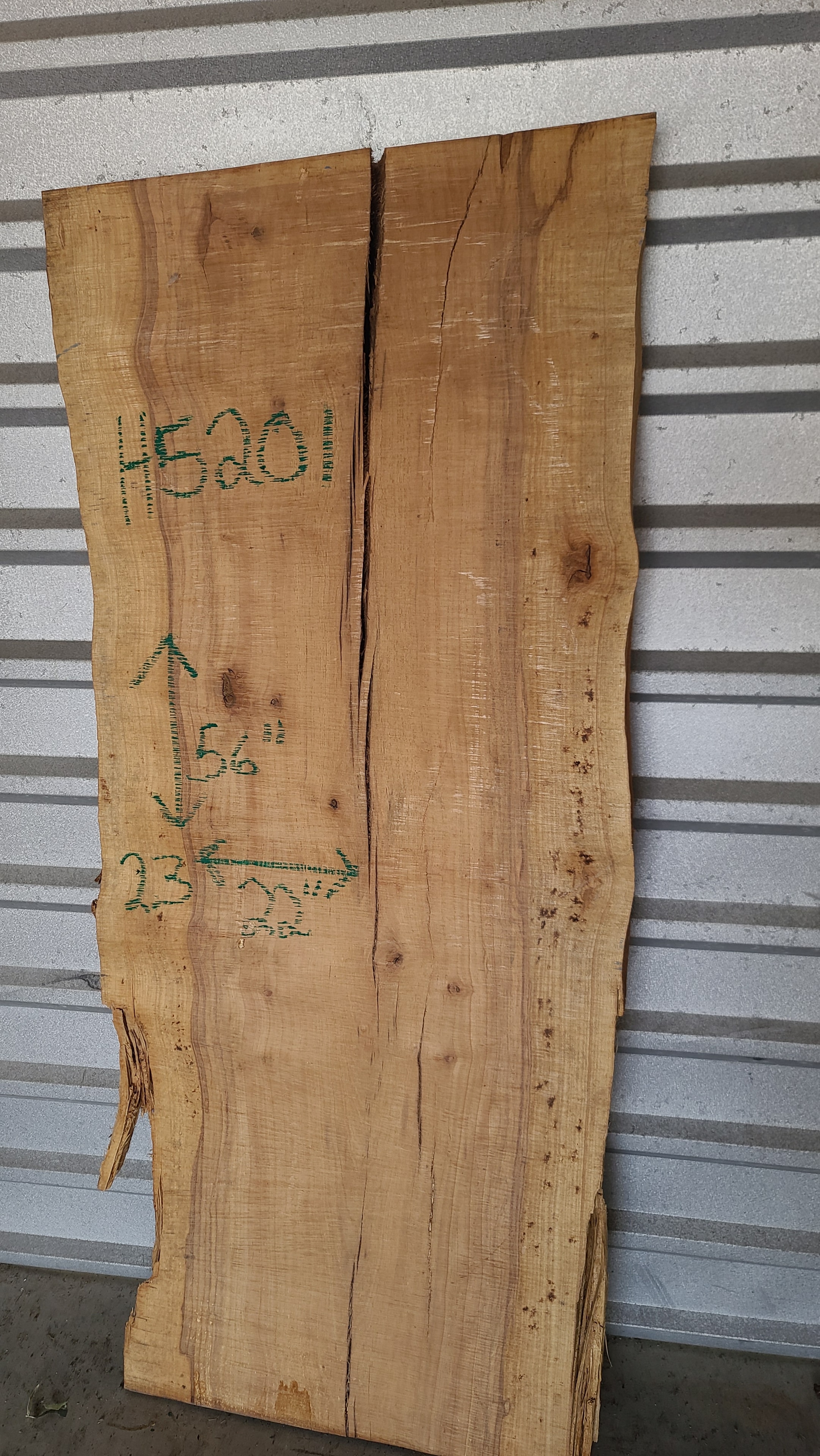 Pignut Hickory slab